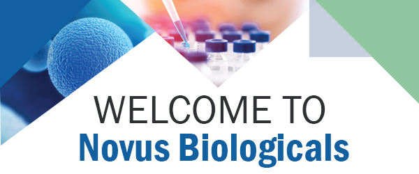 Novus Biologicals